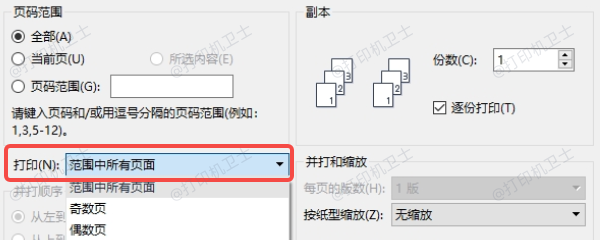 调整打印选项和预览设置