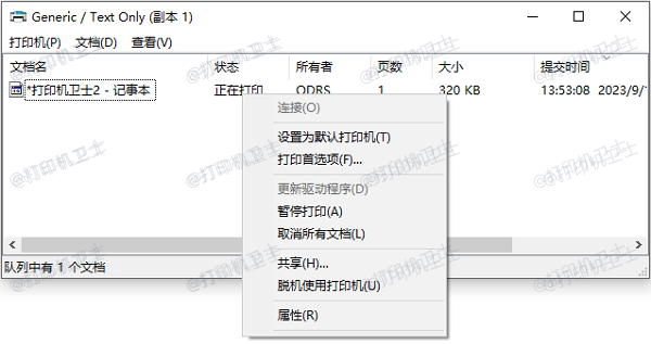检查打印机设置与状态