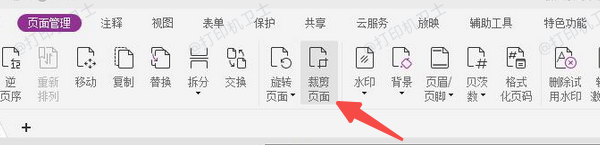 借助PDF编辑工具提前设置页面布局