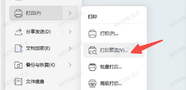 打印前预览