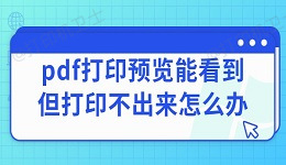 pdf打印预览能看到但打印不出来怎么办 打印PDF的方法