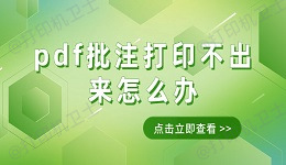 pdf批注打印不出来怎么办 pdf批注无法打印的解决方法