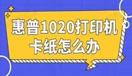 惠普1020打印机卡纸怎么办 简单易懂的小妙招