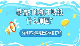 惠普打印机不吸纸什么原因? 详细解决教程教你恢复打印